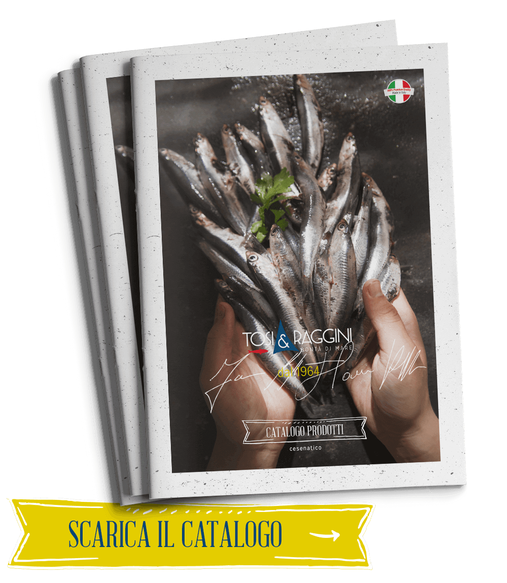 Catalogo Tosi & Raggini Cesenatico